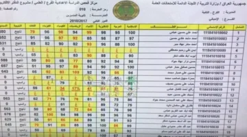 “اكتشف الآن”.. نتائج السادس الابتدائي الدور الثالث 2025 لجميع محافظات العراق